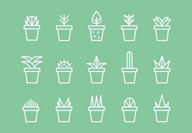 Succulent Icon Set